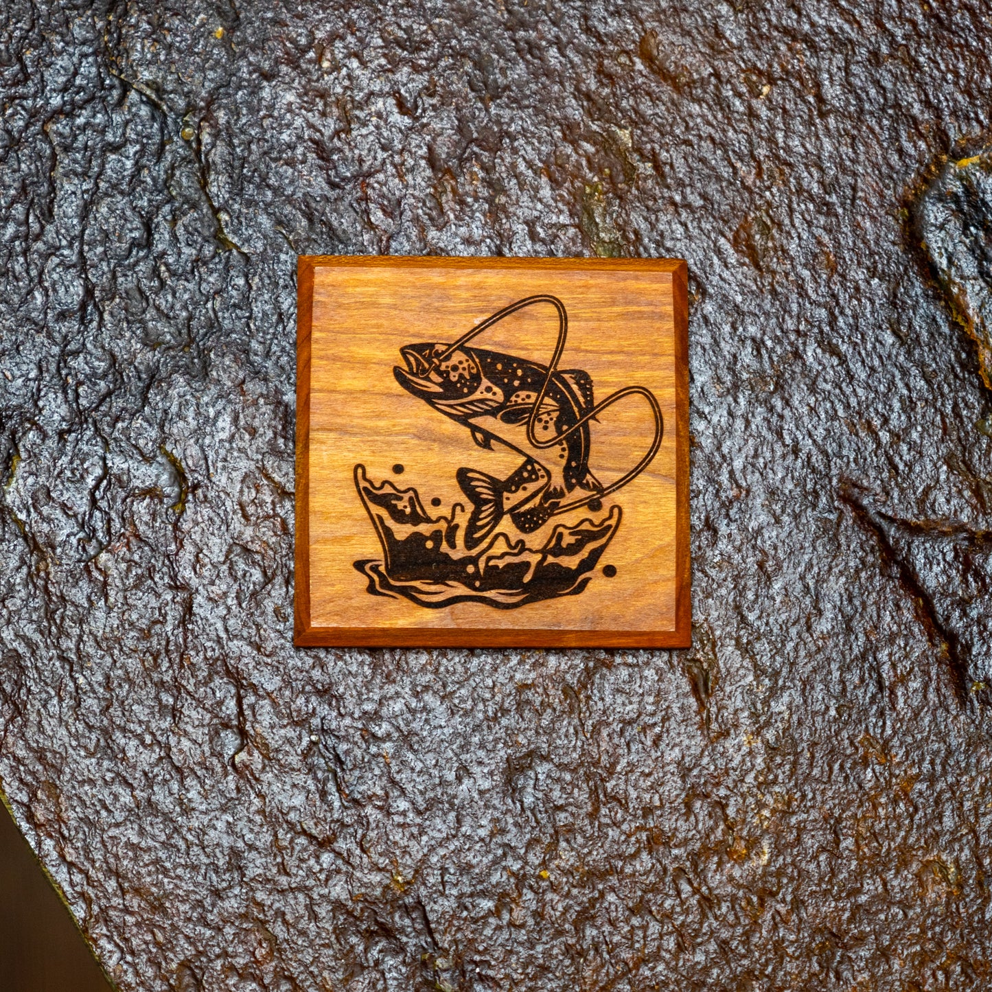 Coaster Set