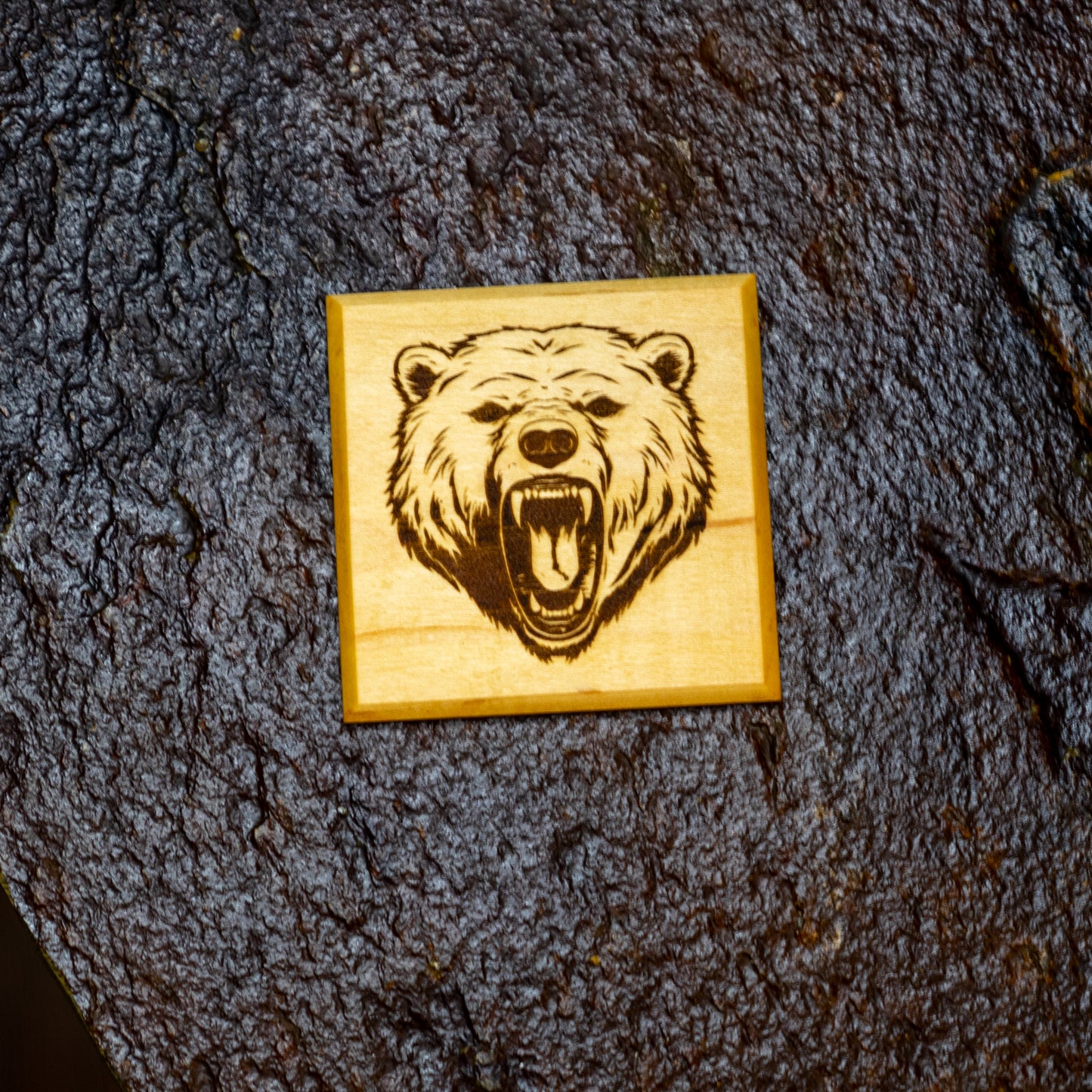 Coaster Set
