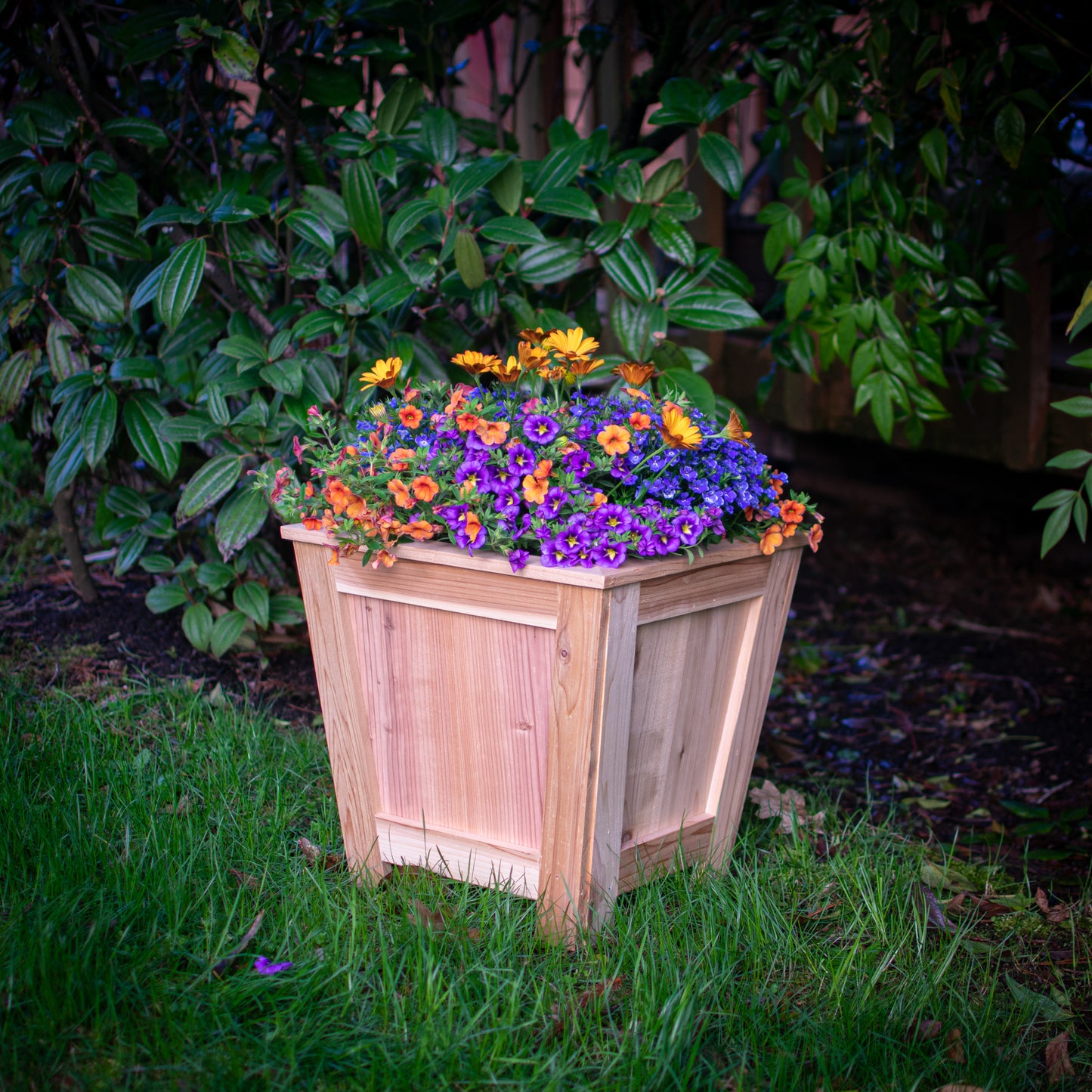 Planter Box